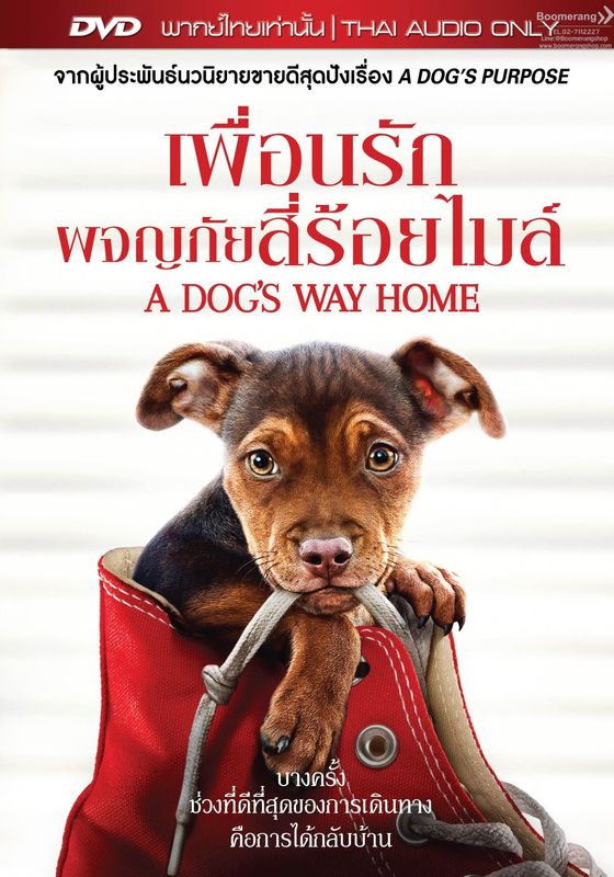 A Dog’s Way Home                เพื่อนรักผจญภัยสี่ร้อยไมล์                2019