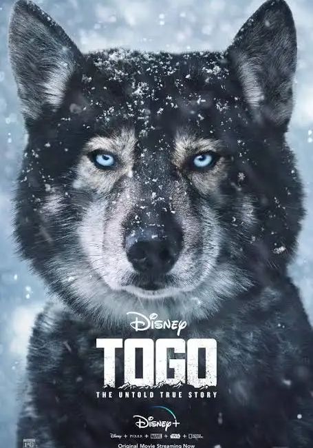 Togo                โทโก                2019